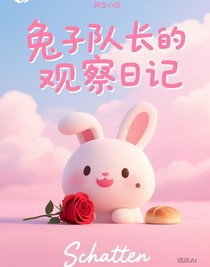 兔子队长的观察日记