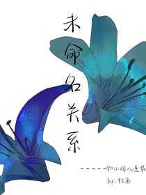 伽小：未命名关系
