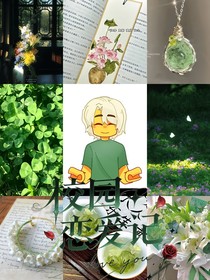 幻影忍者（校园篇）