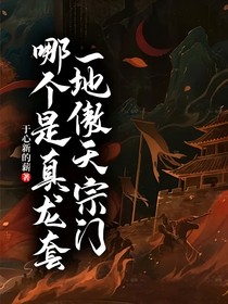 一地傲天宗门哪个是真龙套-d696