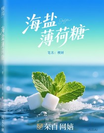 海盐薄荷糖