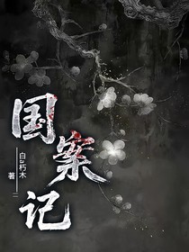 国案记