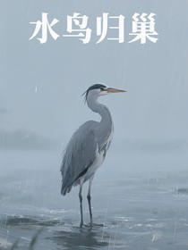 水鸟归巢