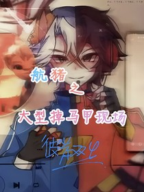 航猪之大型掉马甲现场
