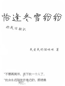 恰逢冬雪纷纷