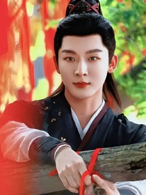 综影视：夫人她娇软动人
