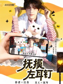 TOP：撫摸左耳釘
