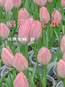 暗恋日记本（双女）
