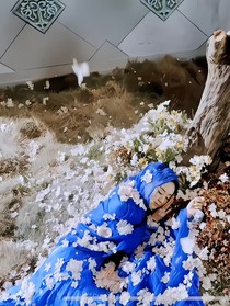 綜影視：妖神錄