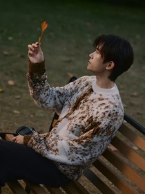 易烊千璽今晚一起散步嗎