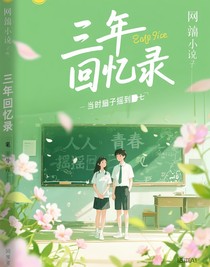三年回忆录