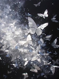 流蝶赴晚照