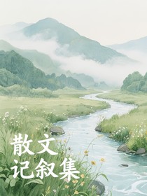散文記敘集