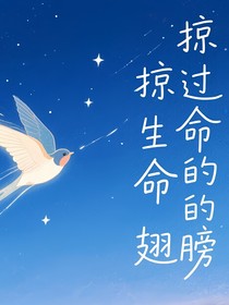 掠过生命的翅膀