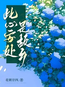 此心安处是故乡
