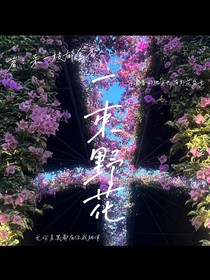一束野花