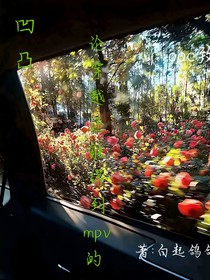 凹凸：论穿越还能搞出个mpv的