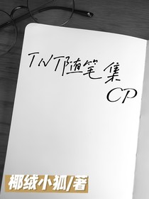 TNT随笔集（CP）