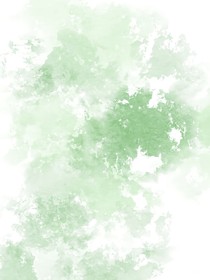 藏在风里的告白与奔赴