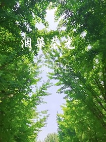 洇染茶光