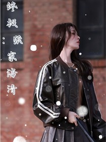 终极：张家海清