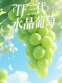 TF三代：水晶葡萄