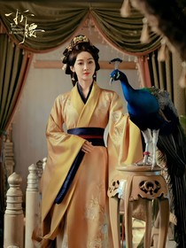综影视之向意难平说不