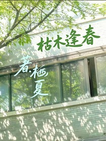 枯枝上的春信
