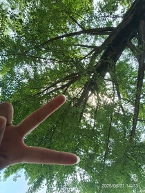 我的生活（作者真实生活）