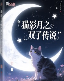 猫影月之双子传说