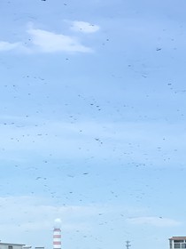 夢(mèng)星球