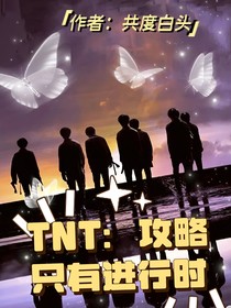 TNT：攻略只有進行時-d233