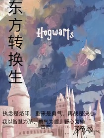 HP之东方转换生