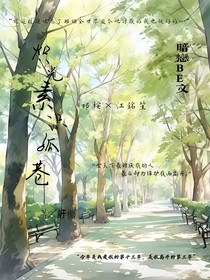 熾光素識(shí)孤巷