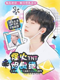 TNT：烽火燼良緣