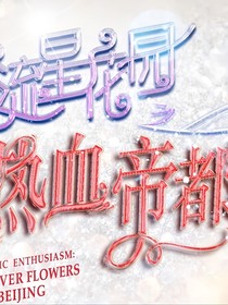 流星花园热血帝都（改编版）