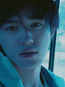 Y：纸玫瑰