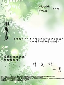 初相逢于夏