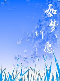 如梦所愿