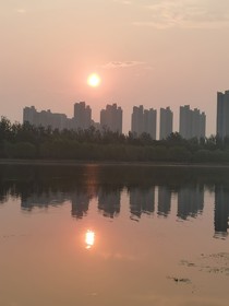 生活的腳步