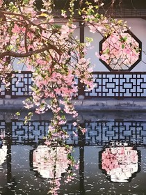 为谁花解语