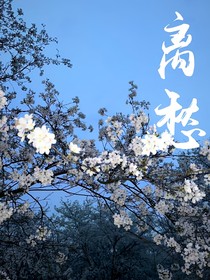 离愁（各种同人文随笔）