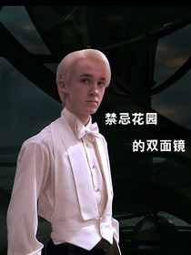 禁忌花园的双面镜