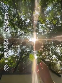 供奉殿：忘本这一块