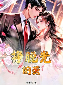 挣脱光的茧