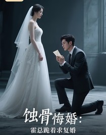 蚀骨悔婚：霍总跪着求复婚