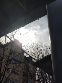 逢晓