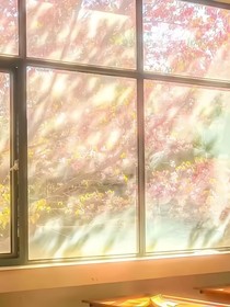 雨与许