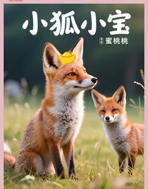 小狐狸小宝