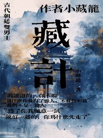藏记